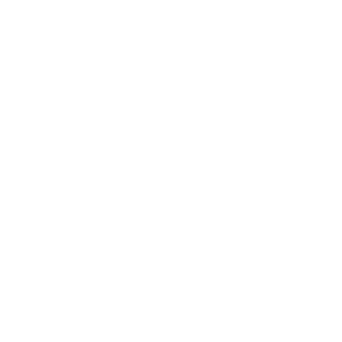 Robo Boys Official Logo (1)